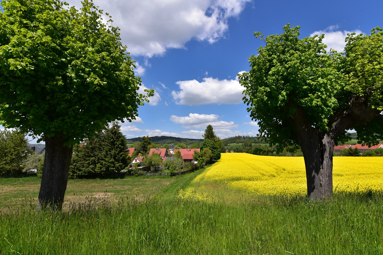Top 5 Events für das kommende Wochenende